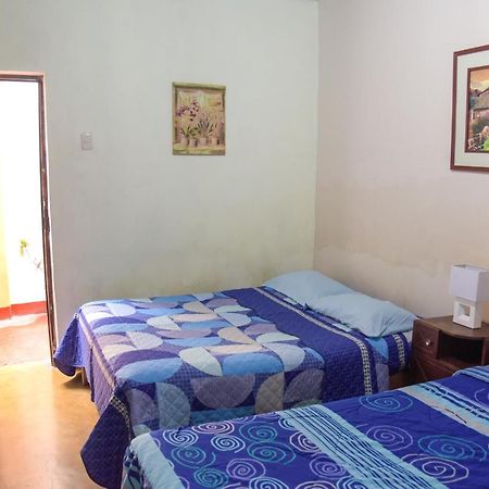 Brabant Hostal Nazca Dış mekan fotoğraf